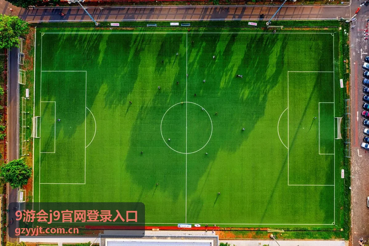 9游会j9官网登录入口账号验证与安全设置示意