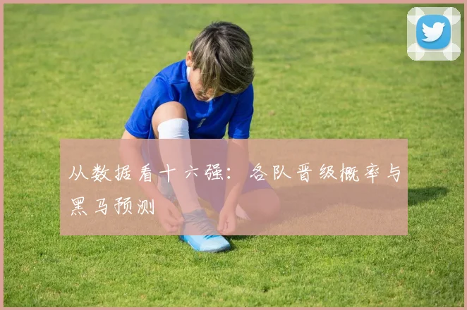 从数据看十六强：各队晋级概率与黑马预测