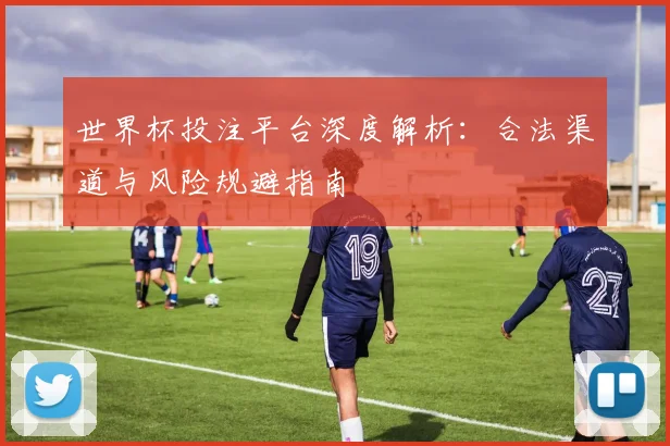 世界杯投注平台深度解析：合法渠道与风险规避指南